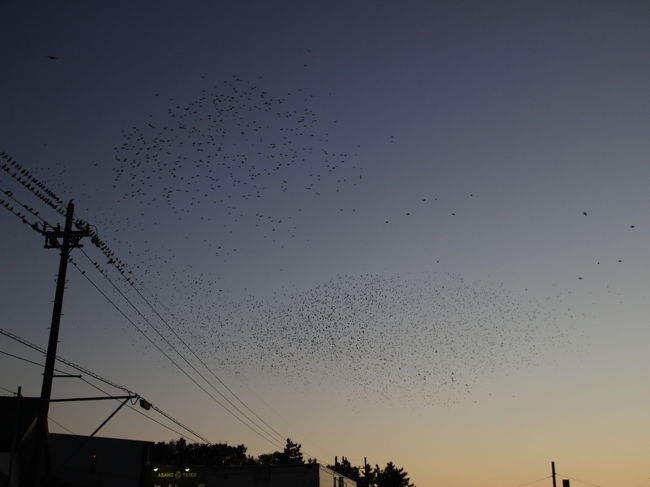 すごぉーーーーーい！！！！！<br /><br />・・・・・と最後まで飛ぶものに感動する二人なのでありました。<br /><br />日帰りでしたので、<br />内容うすい旅行記でしたが、<br />読んでいただき恐縮ですっ。(*^_^*)