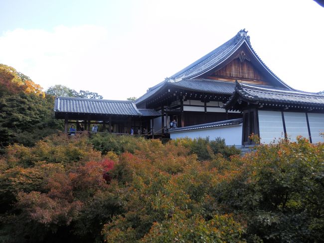 通天橋です。ここから先は有料エリアです。本堂からこの橋を渡り普門院や開山堂へ向かいます。この写真は通天橋から書院（本堂の奥、無料エリアです）を見たところです。この通天橋の下を流れている三ノ橋川の両面に植えられている紅葉が見事です。