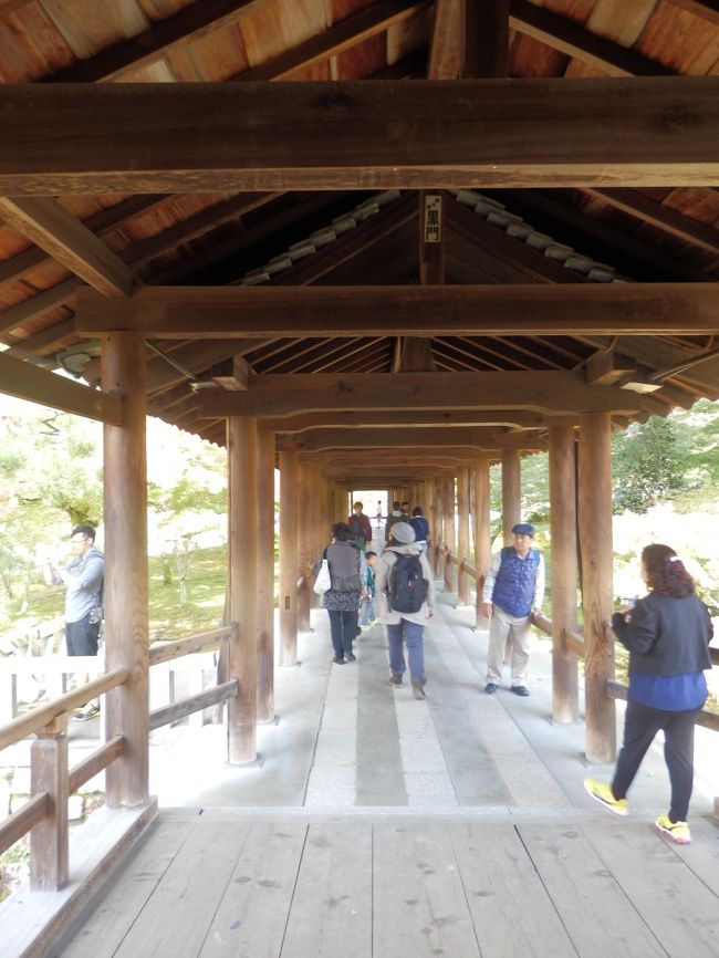 通天橋を渡り、普門院や開山堂へ向かうところです。