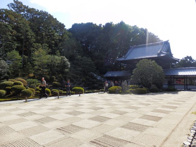 席ほどの石庭の拡大図です。