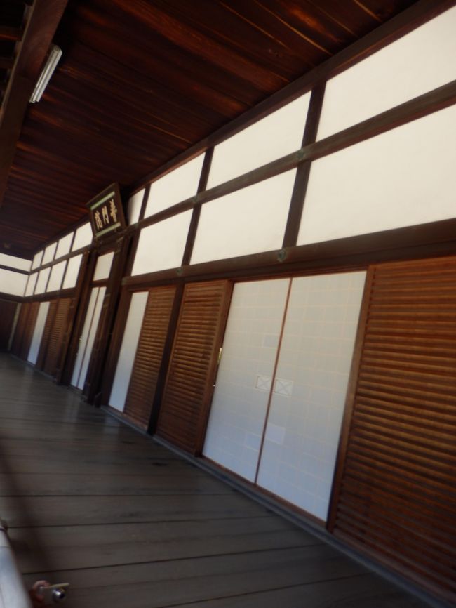 開山堂の廊下です。ここに座って先ほどの石庭を眺めます。石庭だけでなく、お庭もきれいなのでゆっくり眺めるのもいいです。