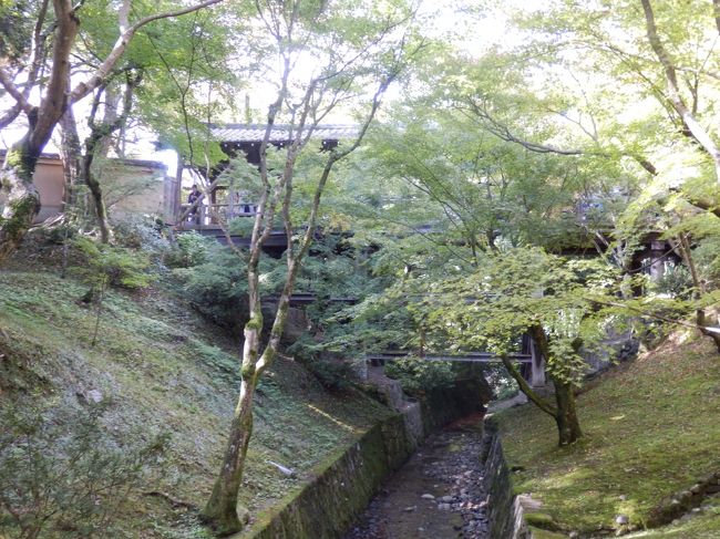 開山堂の石庭を堪能し終えたら、行き道を下りてゆきます。そうすると三ノ橋川を見ることができます。