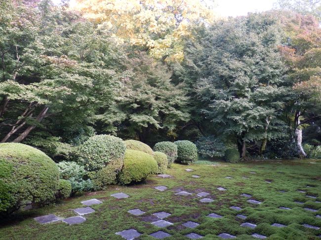方丈の北庭です。ここは苔と敷石で市松模様が形作られているのが見所です。ここの庭の周りの廊下を歩いていくことができるので、いろいろな角度から見ることができます。