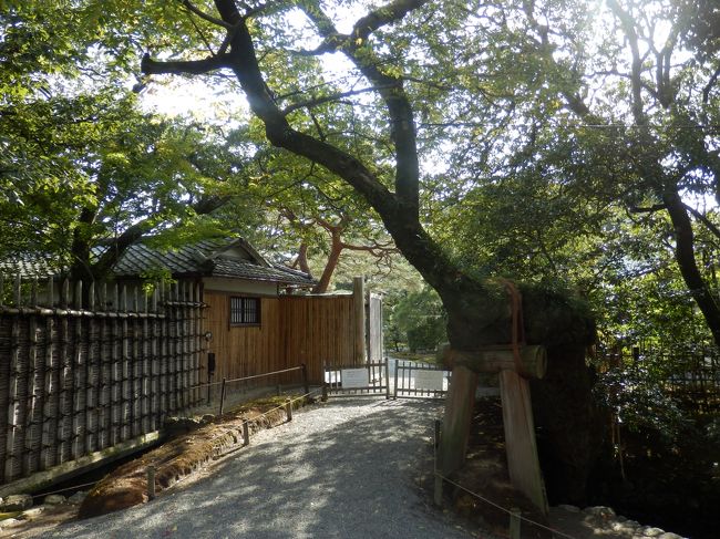 入口です。今回は14：30からの見学で、20分前から受付可能となります。それまではこの入り口で時間を来るのを待つことになります。桂離宮は一番近いところで、桂離宮前のバス停があるのですが、そこからでも10分はあるくので、阪急桂駅又はＪＲ西大路駅からタクシーで行くのがいいと思います。どちらも700円前後で行けると思います。