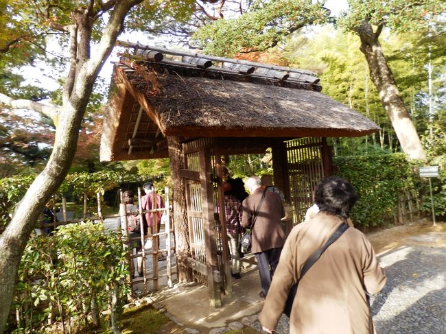 御幸門です。先ほどの表門をくぐっていくとこの門に到達します。表門と御幸門は一直線になっているのですが。表門側の道幅が2.5ｍなのに対し、御幸門側の道幅は3.5メートルになっていて、表門から見たときに奥行が見られるように造られているそうです。なお、この御幸門は茅葺でできており、長くても20年くらいしか持たないそうです。