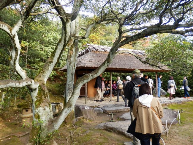 外腰掛です。ここで訪問されたお客様を待っていただくところです。目の前は少し山になっています。これは訪問されたお客様にこの段階でお庭全体を見せないことによって、お庭を堪能する楽しみをこの段階で終えないようにするためです。