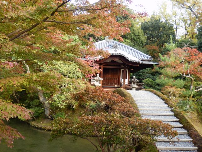 園林堂（おんりんどう）です。桂離宮の中でもっと高い所にあります。