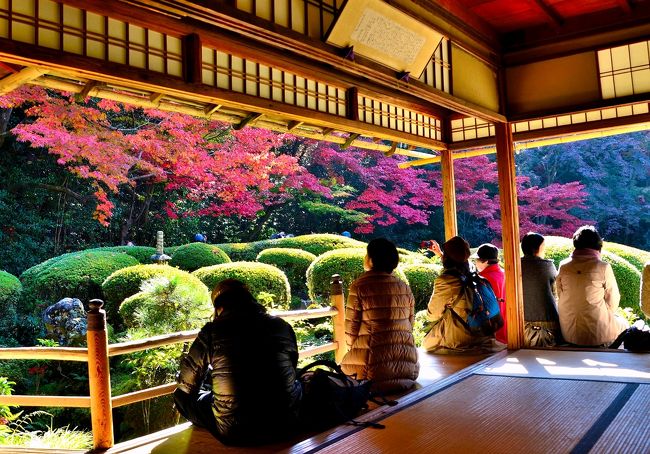詩仙堂 一乗寺＊新緑に心洗われる「詩仙堂（丈山寺）」の風景・今