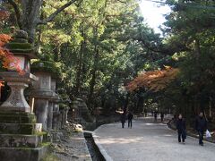 バスに乗って春日大社へ行こうとしましたが、バス停から遠くて断念。

ここからまだまだ先です。
