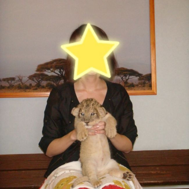 ホントにホントにライオンだ 猛獣大好き 裾野 長泉 静岡県 の旅行記 ブログ By Umenomiさん フォートラベル ホントにホントにライオンだ 猛獣大好き 裾野 長泉 静岡県 の旅行記 ブログ By Umenomiさん フォートラベル