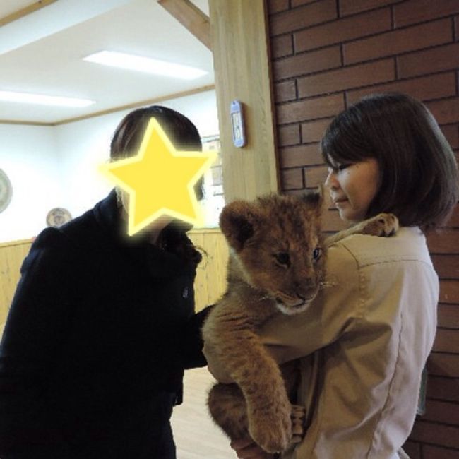 ホントにホントにライオンだ 猛獣大好き 裾野 長泉 静岡県 の旅行記 ブログ By Umenomiさん フォートラベル ホントにホントにライオンだ 猛獣大好き 裾野 長泉 静岡県 の旅行記 ブログ By Umenomiさん フォートラベル