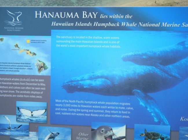 ハナウマ湾の説明