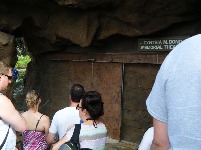 まずはこちらでビデオの説明を見て、聞いてから・・・