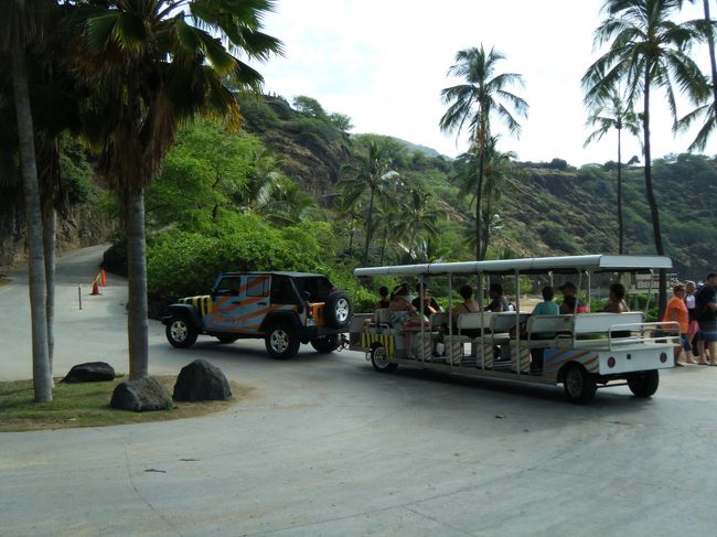 これに乗って下まで下ります。