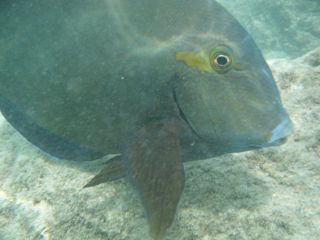 目の前にいるよ〜