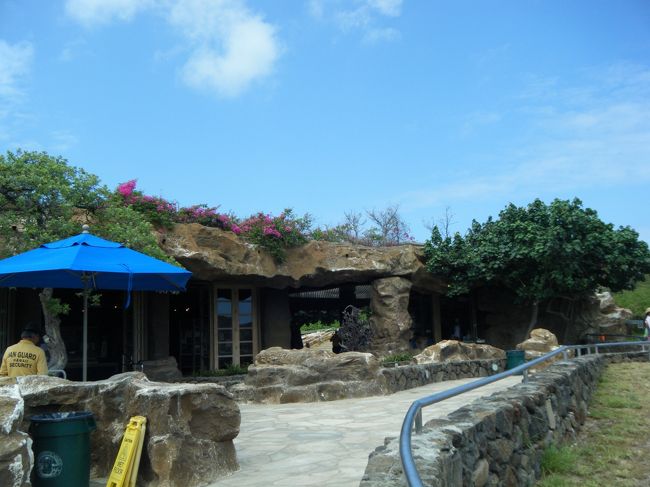 また来年も来たいな〜