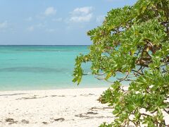 お次はコンドイビーチ。
ここも白い砂浜に青い海がとてもキレイ。