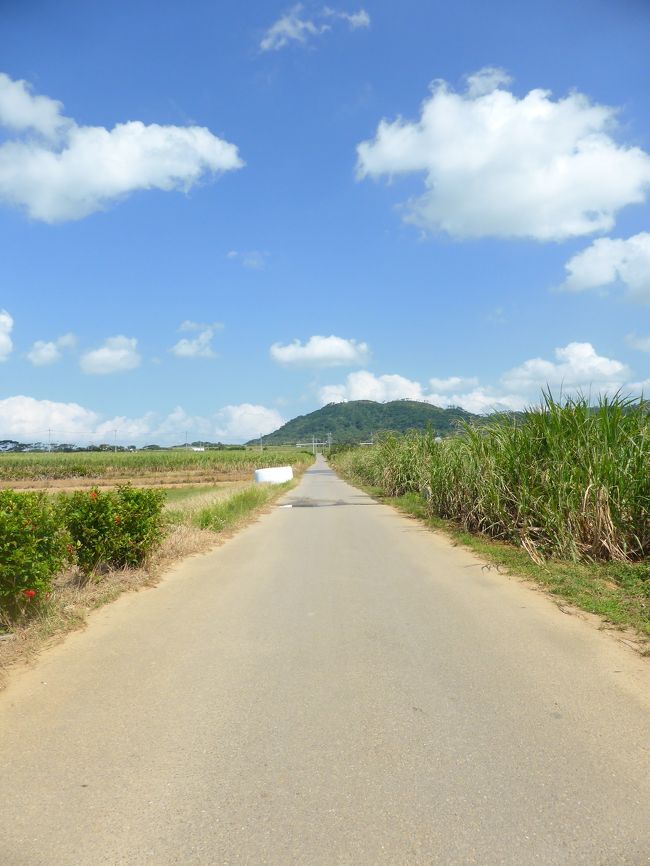 サトウキビ畑を抜けて、空港へ向かいます。