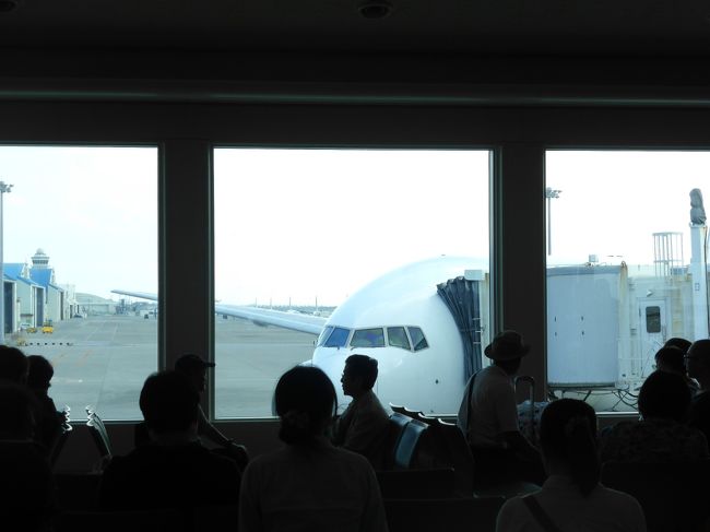 羽田へ向かう帰りの飛行機。