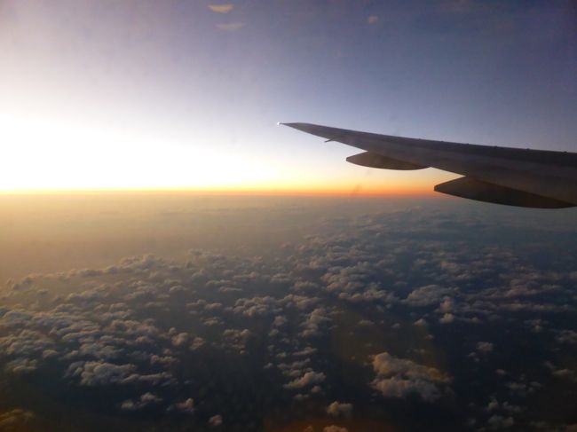 帰りの飛行機はだいたい熟睡。<br />楽しかった石垣島旅行も終わってしまいました。