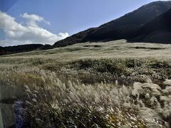 仙石高原近くまで来た。
すると車窓からこの風景。
こりゃあ見応えあるね。