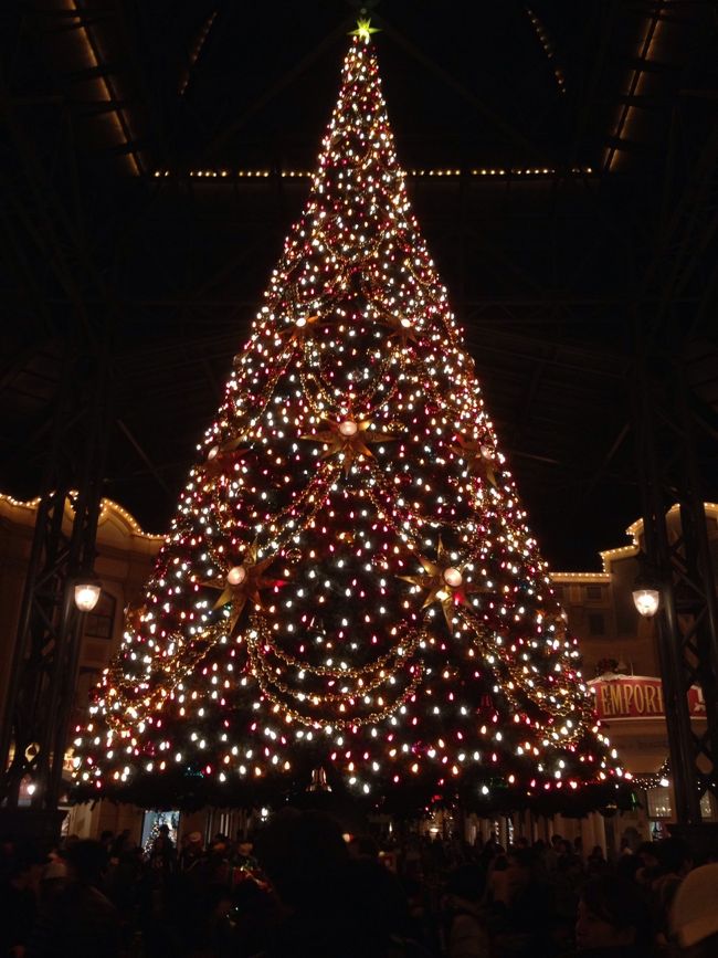 パレードの後は <br />娘の希望でチュロス食べて<br />お買い物して <br />早めに退散<br />明日は朝からディズニーで早起きだから〜<br /><br />帰りにランドのツリー パシっ<br /><br /><br />