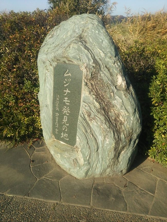 墨田緑道公園 自転車