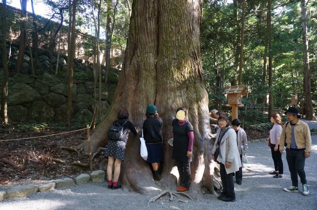 樹齢何百年、何か御利益があるのかも