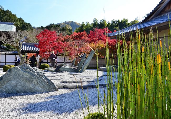 情緒纏綿 洛北錦秋紀行②圓光寺編』京都の旅行記・ブログ by