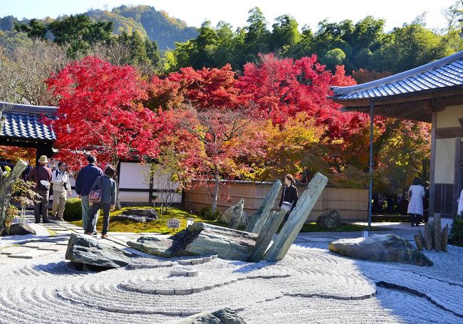 掛け軸　渡辺章雄　円光寺紅葉 もこたさんの投稿/圓光寺 ｜ ことりっぷ