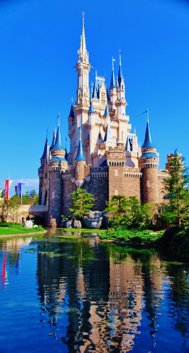 ｔｄｌ 1 シンデレラ城 ランドマークの表情 昼 夜 ホール内展示も探訪して 東京ディズニーリゾート 千葉県 の旅行記 ブログ By マキタン２さん フォートラベル