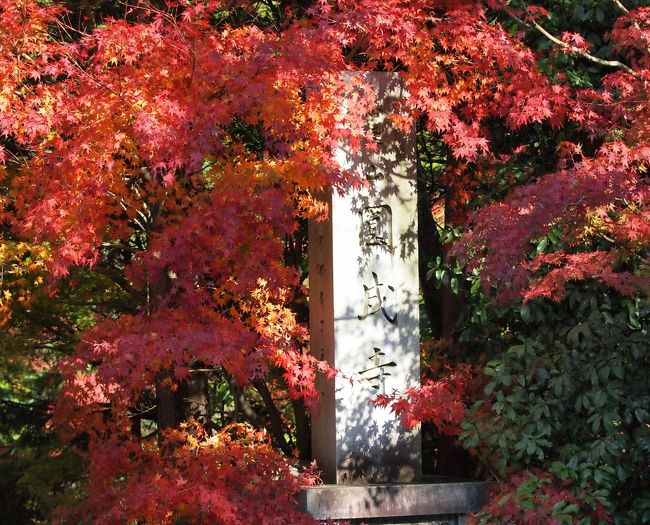 1日目、忍辱山 円成寺（にんにくせん えんじょうじ）<br /><br />奈良駅から東方へ距離で15キロと近いのですが　<br />バス便数が少なく、訪れる人は少なめのよう。<br /><br /><br />