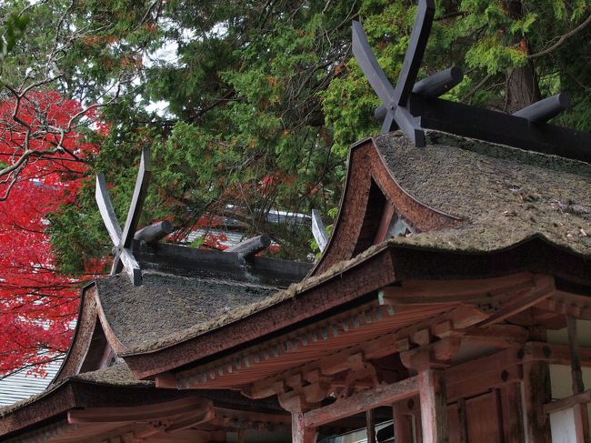 国宝　春日堂(左)　白山堂(右）　鎌倉時代築<br /><br />春日大社の旧社殿を拝領したもので、国宝建造物では最小。<br /><br />ふたつは同形・同寸