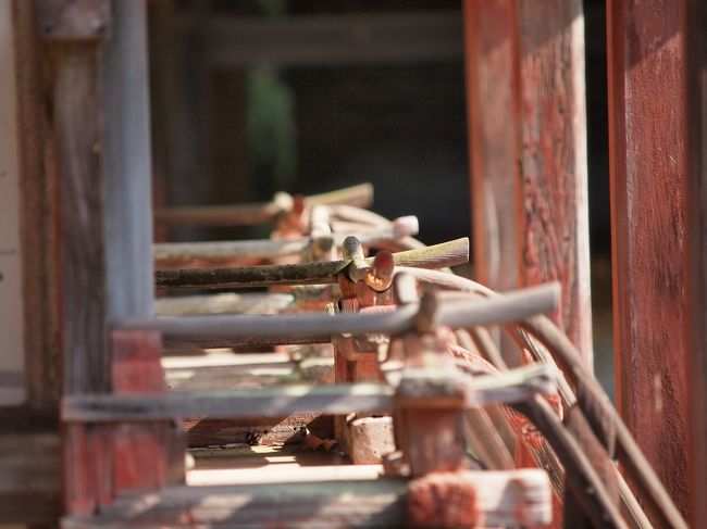 柔らかな曲線が魅了的です。