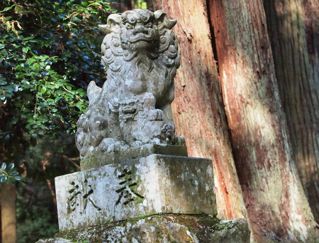 子供を従えた狛犬母さん　はじめて見た！<br /><br />杉林と一緒に、ひっそり静かに神社を護っています。