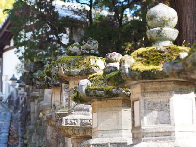 晴天の下　歩を進めます。