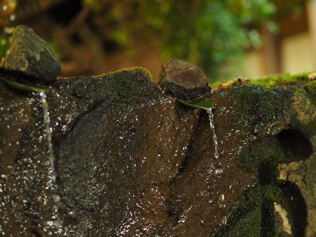 水の流れ口に「椿の葉」ひと工夫のアイデアに拍手<br /><br />二月堂には無料の休憩所があり、暖かいお茶をいただきました。<br />ごちそうさまでした。