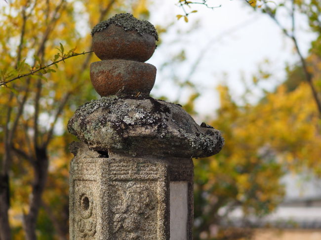 欠けても頑張る灯篭さんが愛おしい