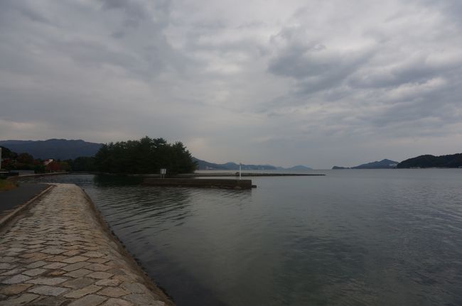 根元と先端と両側から見たが全然ダメ