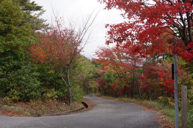 麓のガイドステーションから番所跡まで車で入れます。<br />途中の紅葉