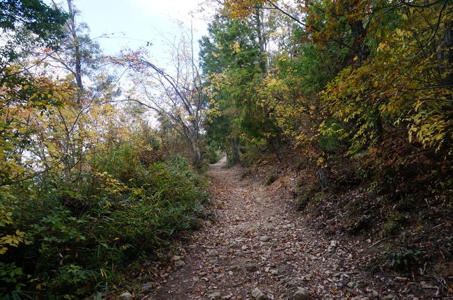 番所跡から本丸までの小道<br />何も残ってないが、戦国時代の山城の雰囲気が十分しのばれます
