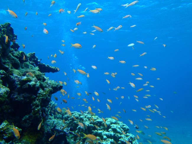 米原Ｗリーフにて