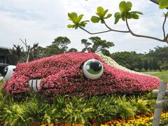 土曜日。

昨夜の雨が残っているかと思いきや、とりあえず雨は上がっています。
巨大なビーチリゾートホテルも、今日でチェックアウトです。
昨日１日、なんとか天気がもってくれて、リゾート満喫の2日間でした。

さよーならー。また来るね〜。

で、今日のお楽しみは水族館です。

かりゆしビーチは恩納村の北端で、名護市との境界にあります。水族館のある海洋博公園までは、1時間弱の道のりです。途中、名護の市街地を通ると、沖縄っぽさもなにもない普通の地方都市です。ほっともっとや吉野家なんかもみかけます。でも、市役所は平べったい巨大な建物で、敷地も広大。デザインもなんとなく沖縄っぽい感じがして、やはり日本でありながら、異国情緒がただようのが沖縄です。車は延々と海沿いの道を走っていきます。

海洋博公園の看板が見えてから、走ること約2km。水族館と書かれたP3駐車場に車をいれます。11時ごろの到着で、しかも土曜ということもあり、予想通りほとんど満車に近い状態です。駐車場は、海洋博公園中央ゲートのすぐ脇で、地図で見る限り、水族館まではまだ少し距離があるようです。
『全然、水族館近くないじゃん』
と、心の中で看板に文句を言いつつ、公園内へ歩を進めていきます。

公園の中ほどまで進んだところで、ピンクの花がぎっしり詰まった大きな花壇（？）に向かって、何人もの人が写真を撮っています。
「あれ、ジンベイザメだよ！」
と、息子。
どうやら、かなり興奮しているようです。これ、後ろに階段がついていて、ピンクの花で作られたジンベイザメの背に乗ることができるんですね。よくできてます。その名も、花ジンベイ。
（写真は花マンタ）
