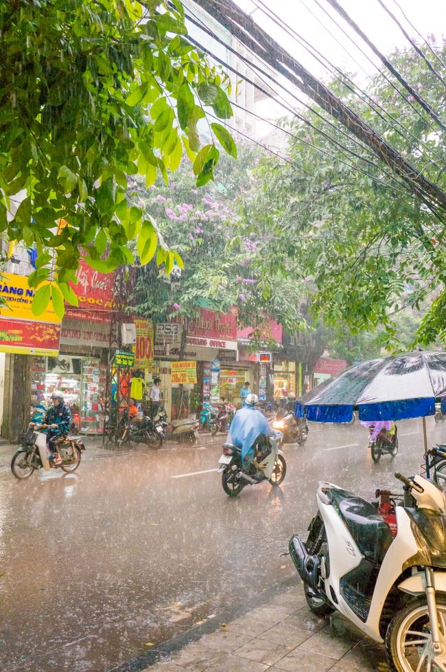 しかし途中でまた土砂降りにあい足止めを食らう。