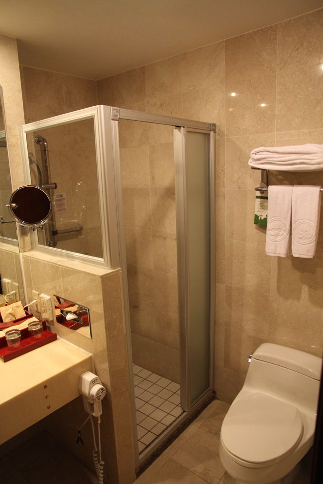 トイレの横にシャワーブース。