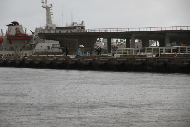 こちらのカップルは、もうドシャ降りの中、撮影してました。