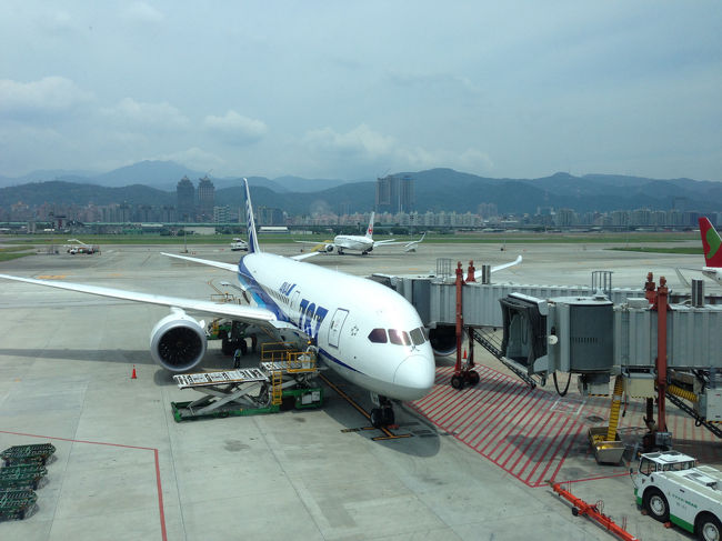 3時間半ほどで台北松山空港に到着。機長が慣れていないのか、そういう特性なのか、B787は着陸時にけっこう揺れる気がする。
