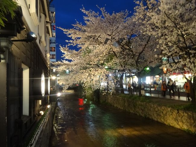 夜桜〜<br /><br />河原町から木屋町通りの桜<br /><br />今ちょうど満開でキレイです。