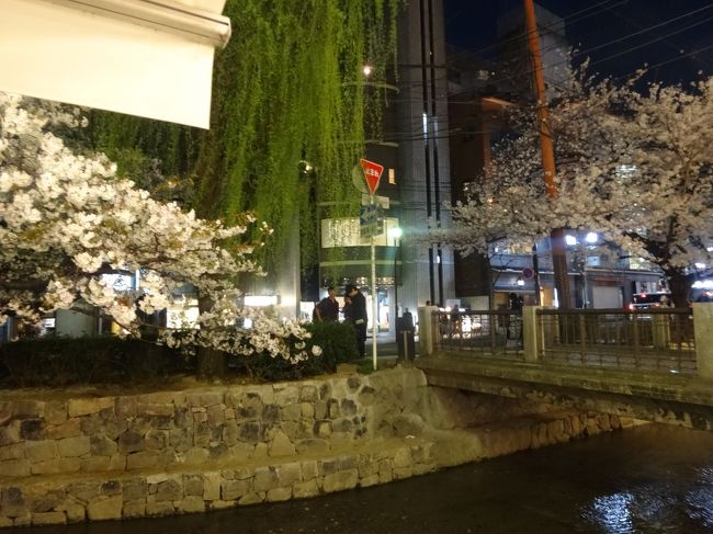 テラスにて<br /><br />桜を見ながら･･･