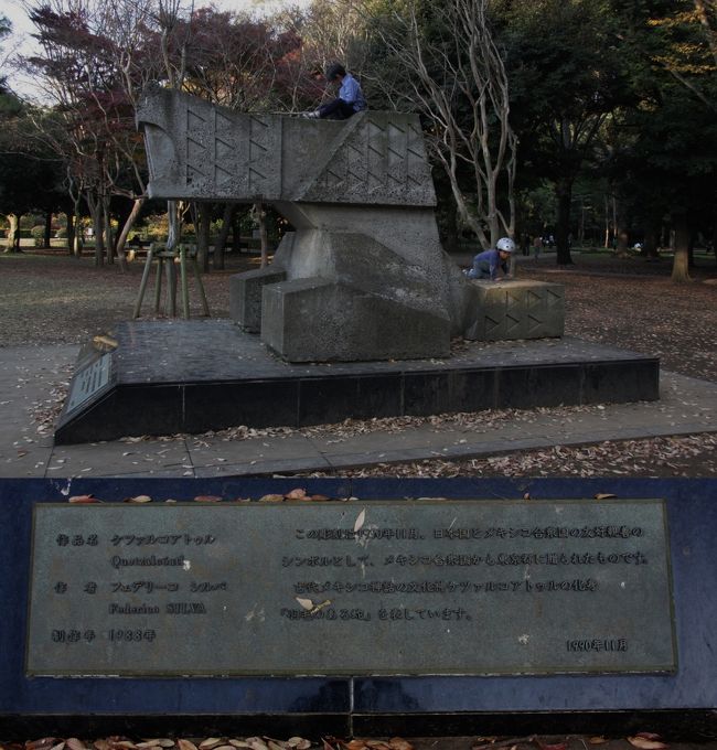 代々木公園の秋景色と東京駅 丸の内 Autumn Color Of Yoyogi Park Tokyo Marunouchi 原宿 東京 の旅行記 ブログ By Yamada423さん フォートラベル